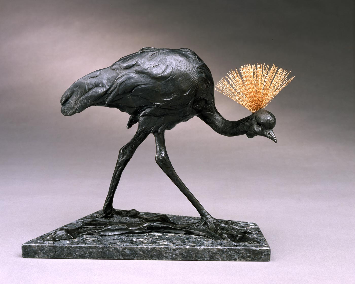 2005-Crowned-Crane