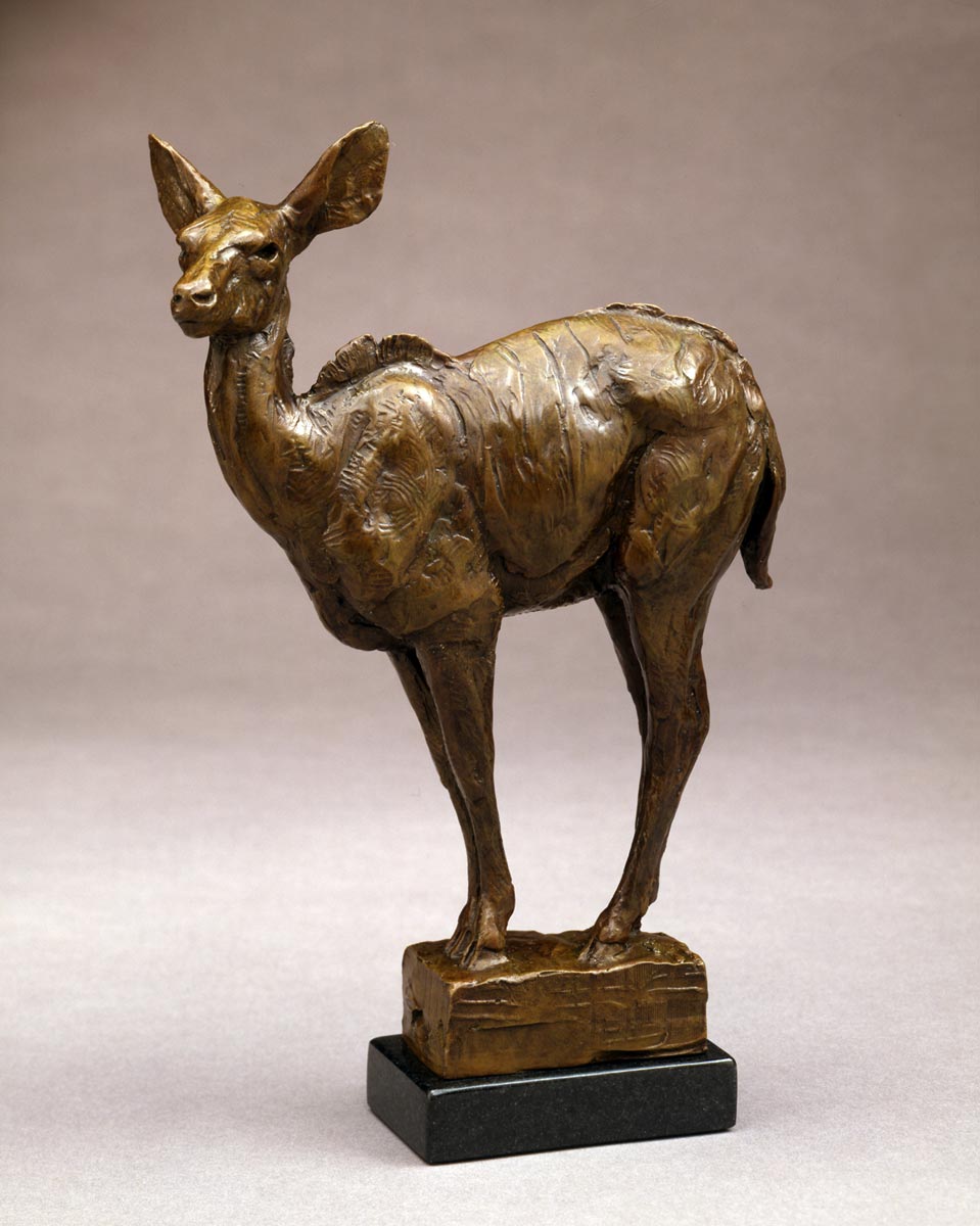 2007-Young-Kudu